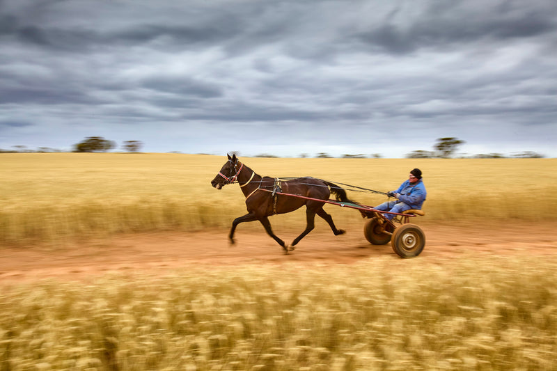 Andrew Chapman - The Camera Life Podcast (Episode 121)