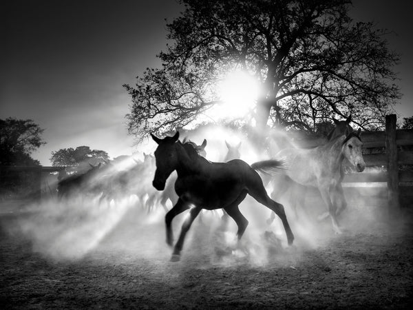 The Camera Life Photography Podcast