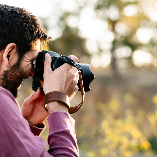 #colour_antique brown