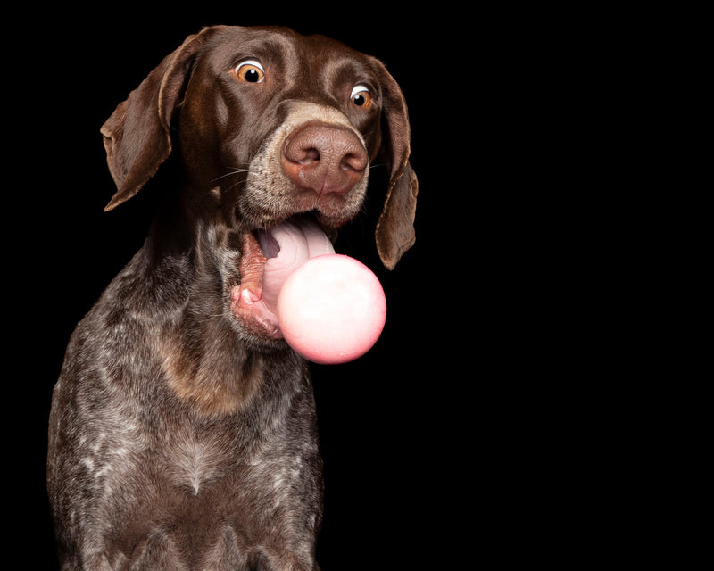 Alex Cearns - The Camera Life Podcast (Episode 130)