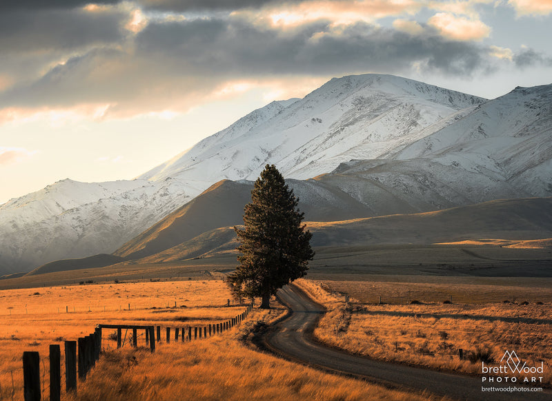 Brett Wood Landscape Image