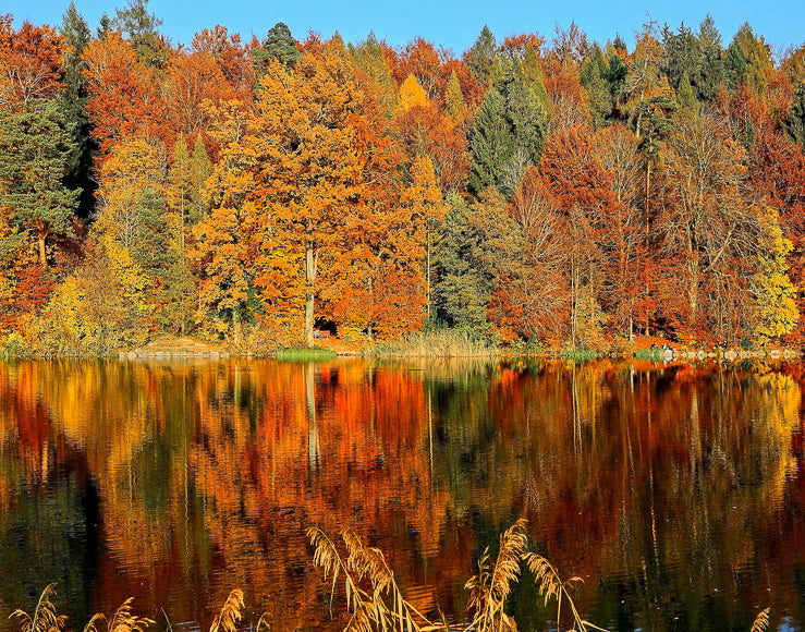 Fall Brings A World Of Colour