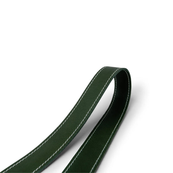 #colour_olive green